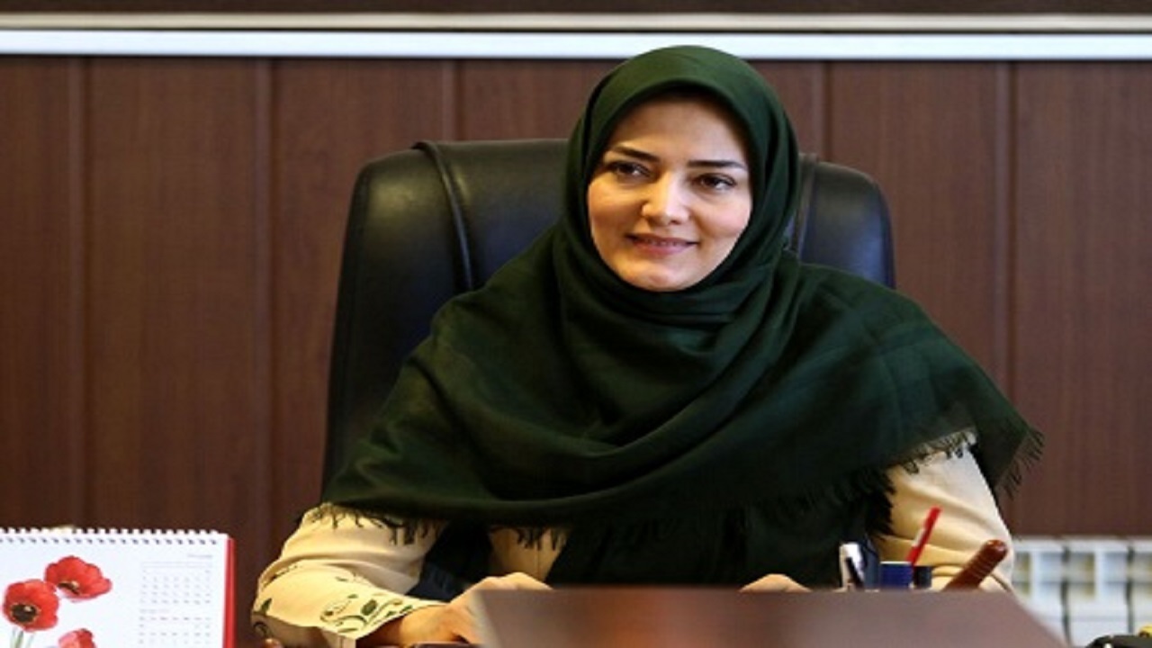 مجلس شورای اسلامی حق بیمه جلسه‌های مشاوره را جدی بگیرد