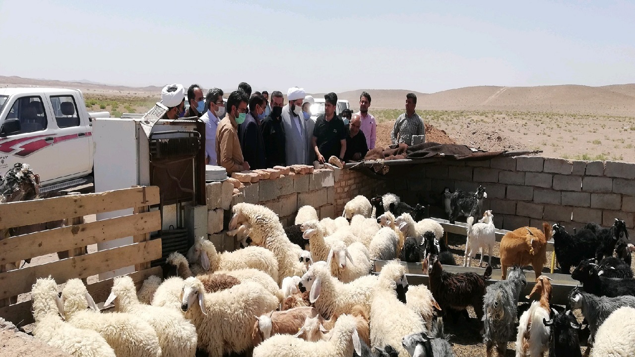 انجام بیش از هزار و ۹۰۰ مورد نظارت بر اشتغال پایدار عشایر و روستاییان