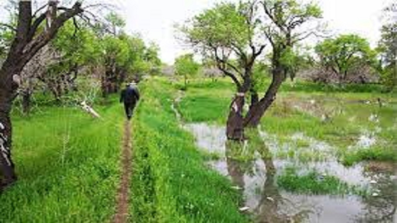 مجوز ساخت و ساز در باغستان سنتی قزوین صادر نمی‌شود