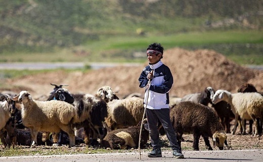 دست خالی عشایر از مراتع و ذخیره علوفه