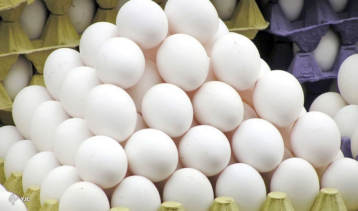 فقط تخم‌مرغ نگهداری شده در یخچال خریداری شود