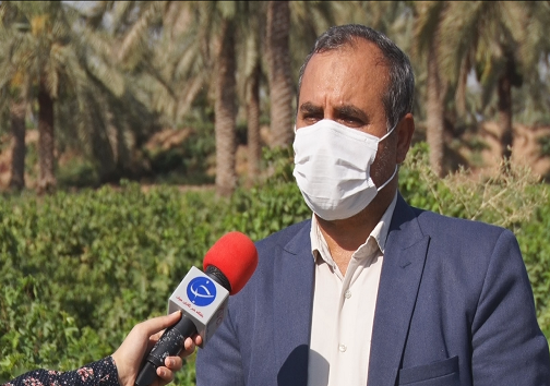 جبار حمادی مدیر جهاد کشاورزی کارون