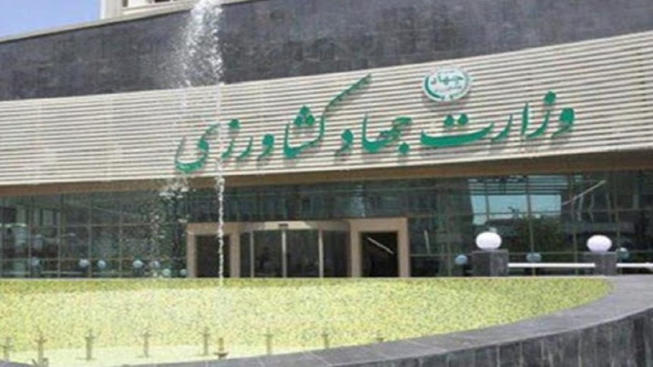 جای ادغام وزارتخانه‌ها قانون متمرکز تدوین شود/ جنگ وزارت صمت و جهاد بر سرمدیریت بازار مرغ