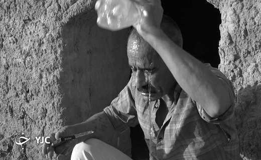 کارتن خواب&zwnj;هایی که نان آور زندگی شدند+ تصاویر