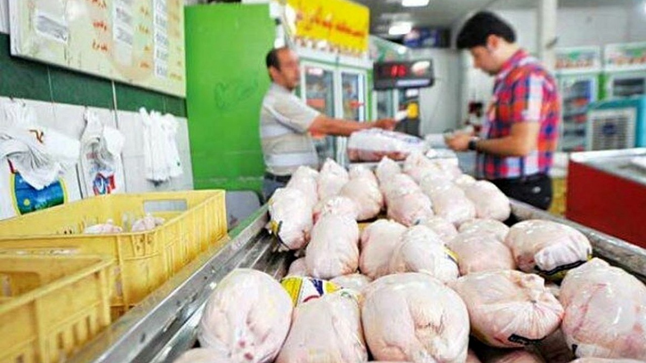 سهمیه هفتگی خرید مرغ در اصفهان با میزان تولید برابر نیست