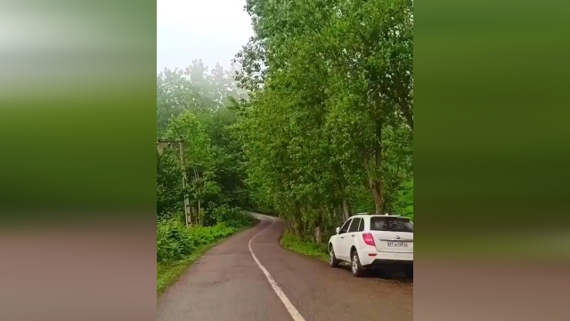 طبیعت تماشاییِ تابستان نشین + فیلم