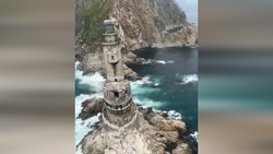 رؤیایی‌ترین جاده جنگلی ایران را بشناسید + فیلم