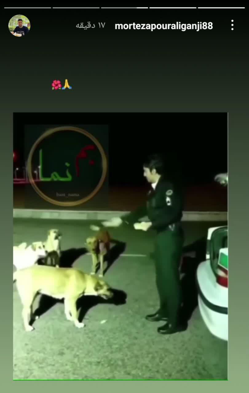 /