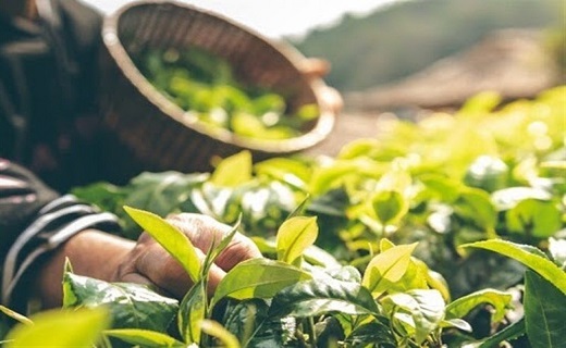 ماجرای تجمعات در برخی شهر&zwnj;های خوزستان چه بود؟