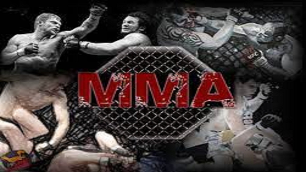 اولین نشست انجمن هنر‌های رزمی MMA در ایران