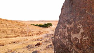 تصاویر زیبا تصاویر زیبا