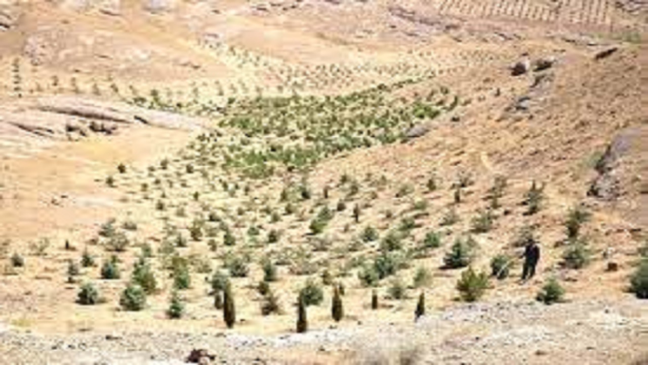 ایجاد باند سبز در اراضی لشکر ۱۰ سیدالشهدای کرج