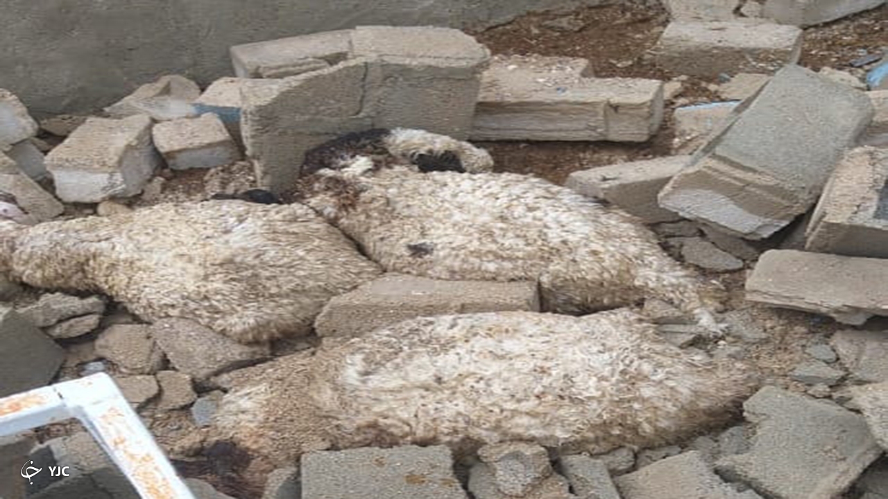 خسارت سیل