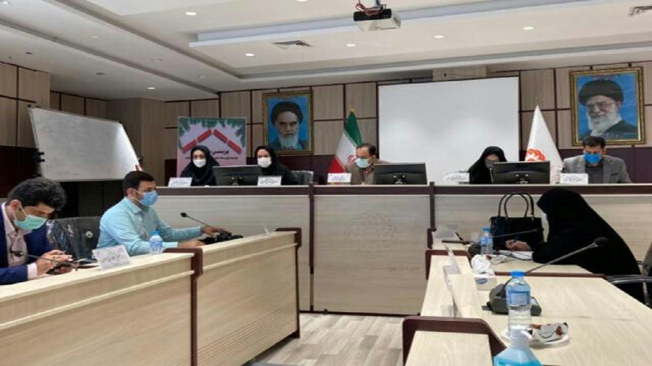 ۳۳ هزار نوزاد در گلستان غربالگری شنوایی شدند