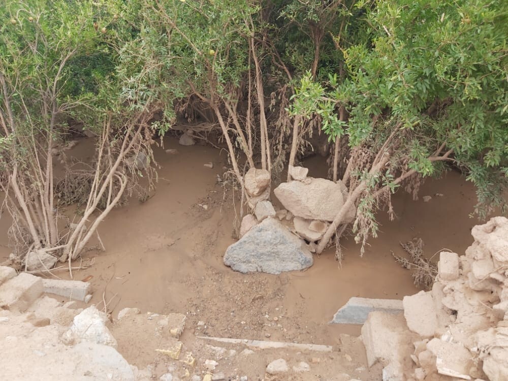 خسارت ۸ میلیارد تومانی سیل به روستای داهوئیه زرند + عکس