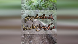 کونیگسی، پاک‌ترین دریاچه آلمان + فیلم