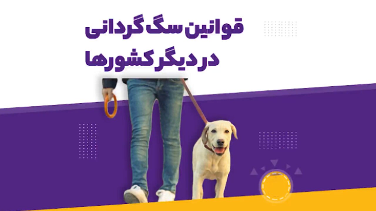 قوانین سگ گردانی در کشورهای مختلف + فیلم