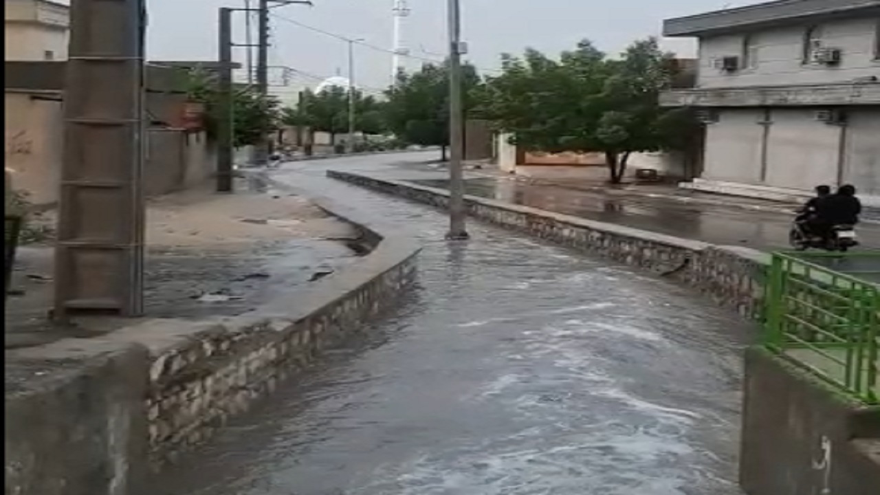 باران تابستانی به استان بوشهر آسیب نزد
