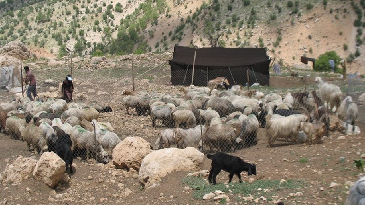 ایجاد اشتغال برای خانواده‌های مددجوی ملکشاهی از محل وجوهات زکات