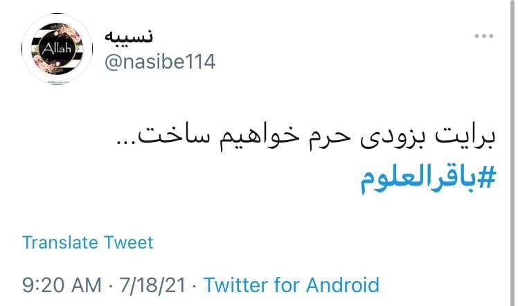 زائرت می&zwnj;شویم از دور با یک سلام / واکنش کاربران فضای مجازی به مناسبت شهادت امام باقر(ع)