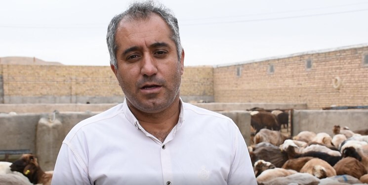خشکسالی تنها عامل تاثیرگذار بر کمبود نهاده های دامی نیست/ رد دست های دلالان بر روند افزایش قیمت لبنیات