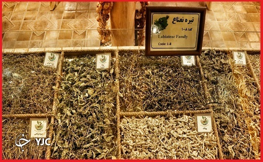 باغ موزه گیاهان دارویی