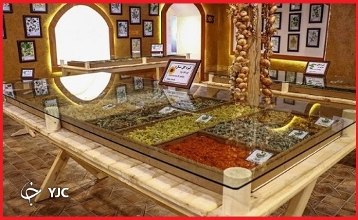 گیاهان دارویی