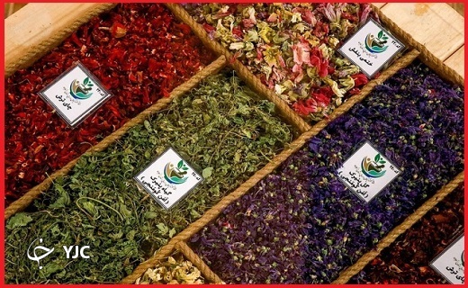 گیاهان دارویی