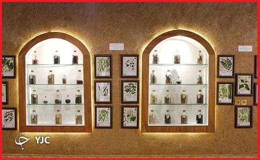 باغ موزه گیاهان دارویی