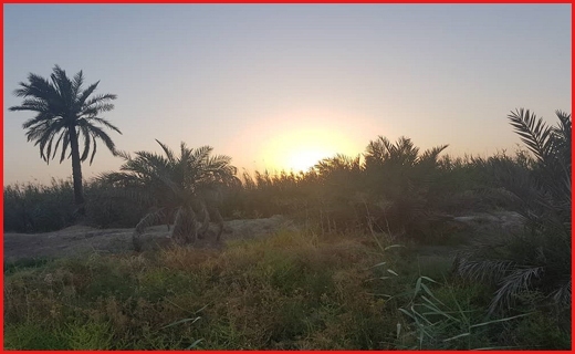 جذاب