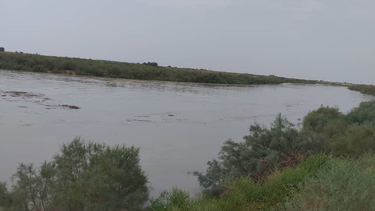 باران حال محیط زیست بوشهر را خوب کرد