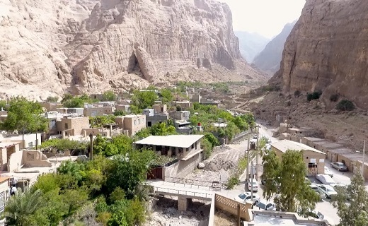 آغاز برداشت بادمجان از مزارع قطرم بافق