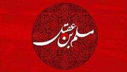 قرائت زیارت عاشورا در حرم امام حسین (ع) در روز عرفه + فیلم