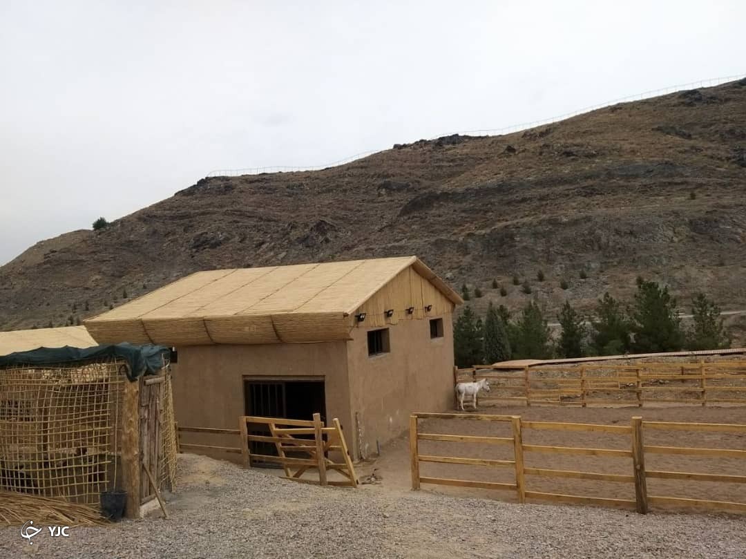 با زیست پارک زندگی عشایری را تجربه کنید+ تصاویر