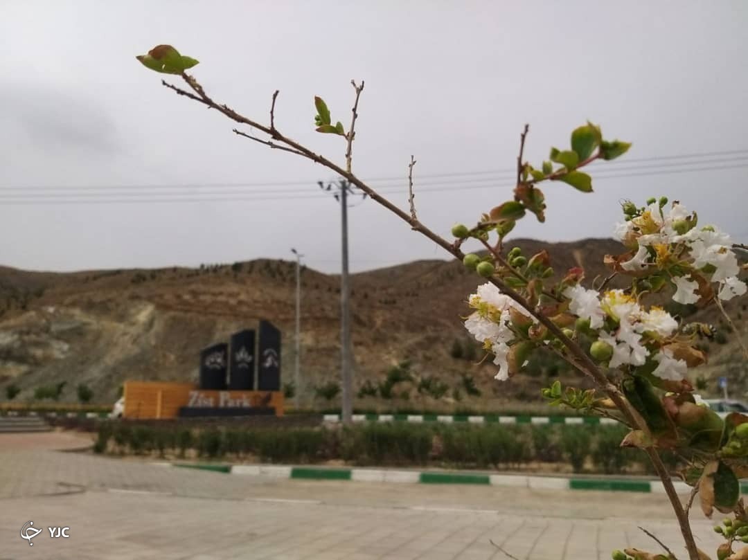 با زیست پارک زندگی عشایری را تجربه کنید+ تصاویر