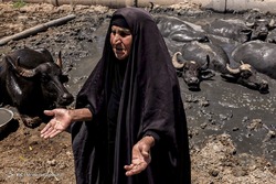 بحران آب در شادگان
