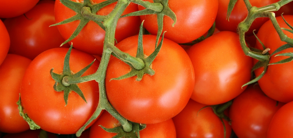  ماسک گوجه فرنگی
