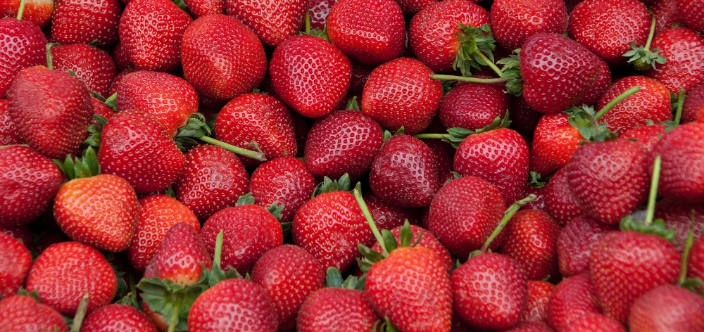ماسک توت فرنگی
