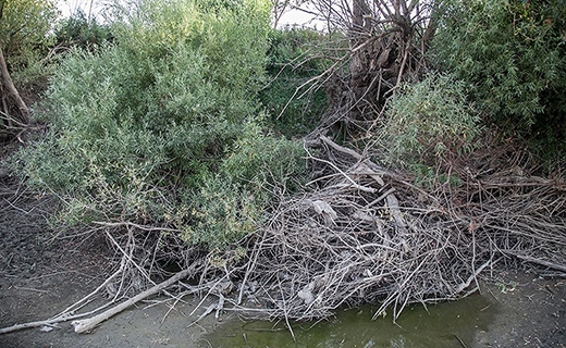 رودخانه رازآور  کرمانشاه
