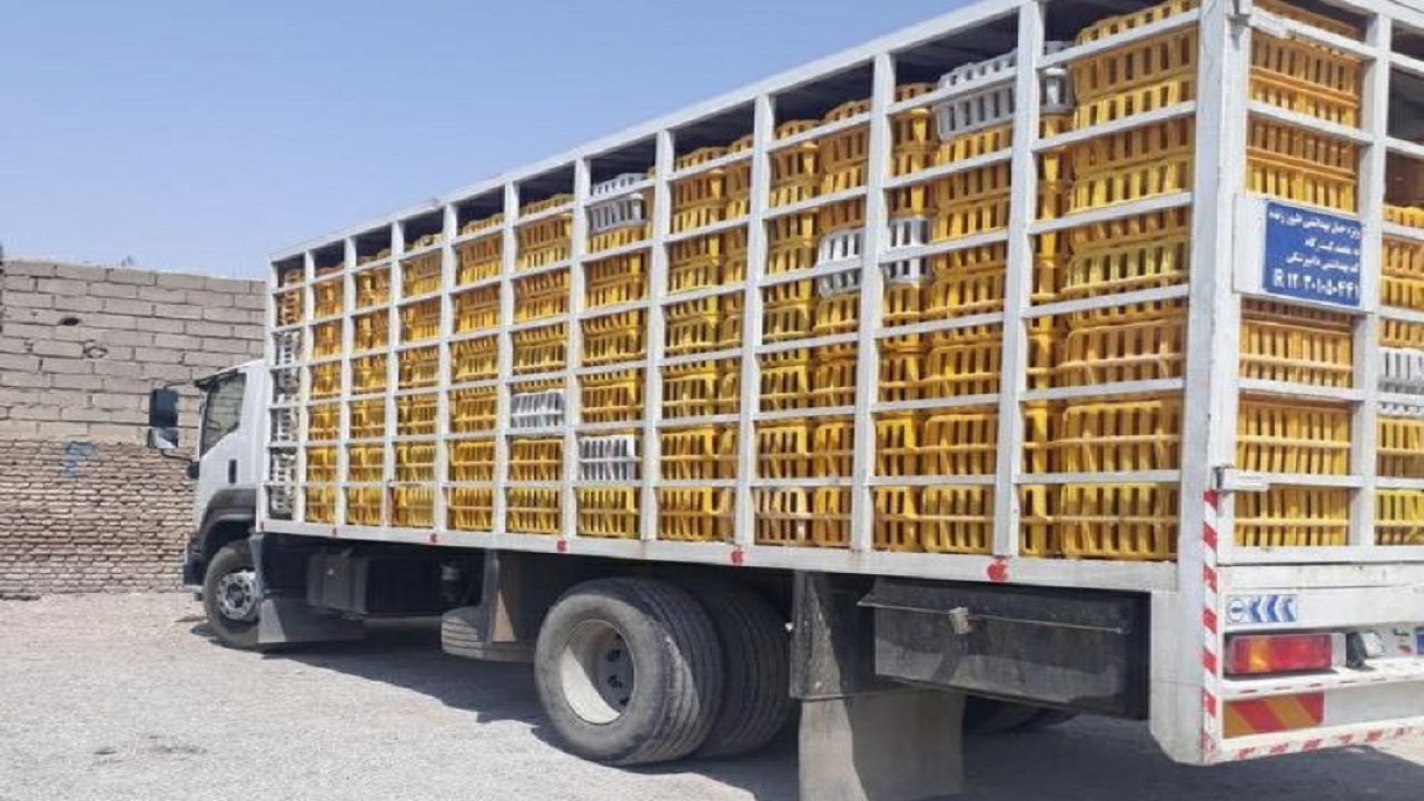 توقیف ۳ دستگاه کامیونت حامل مرغ‌های زنده قاچاق در قزوین