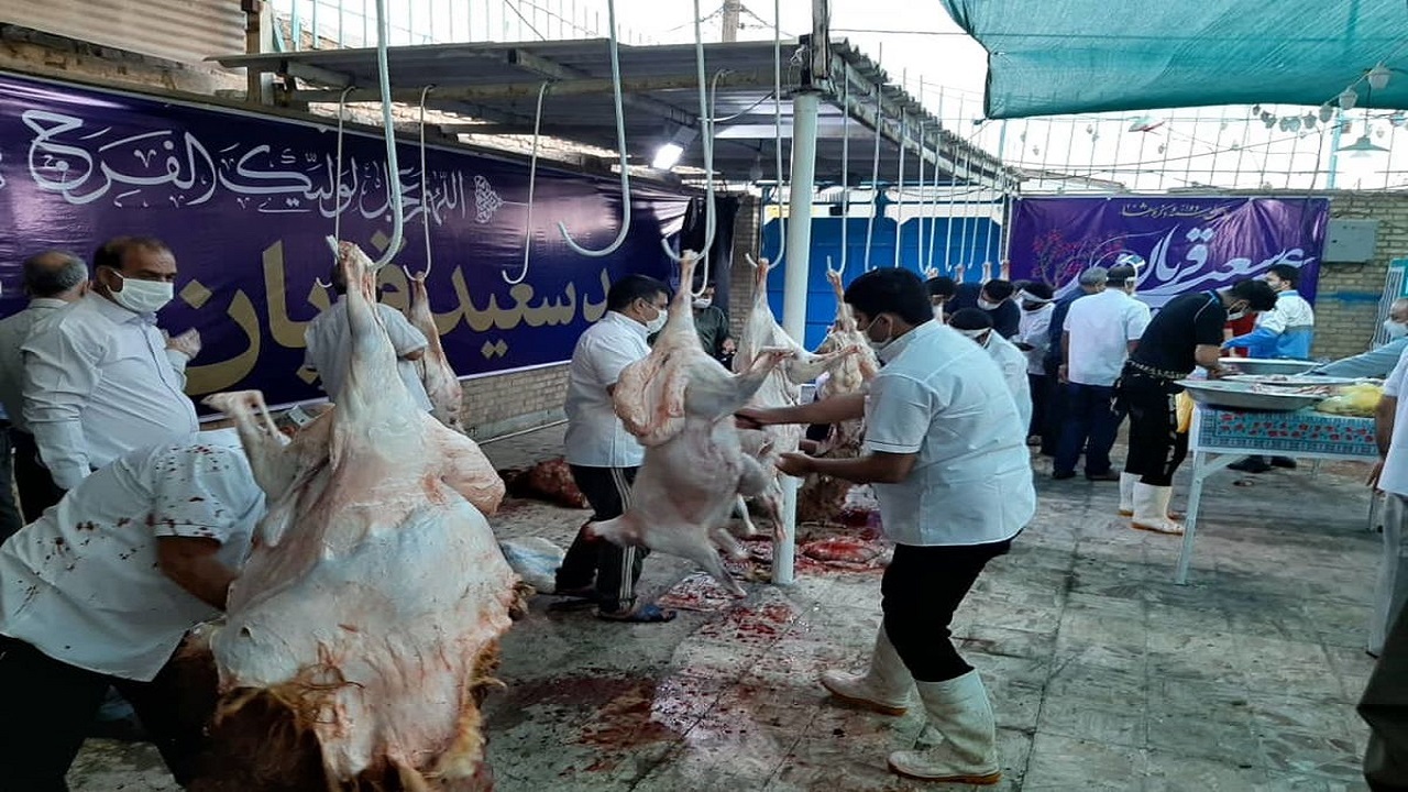 استقرار ۲۲ گروه نظارتی بر ذبح دام در عید قربان