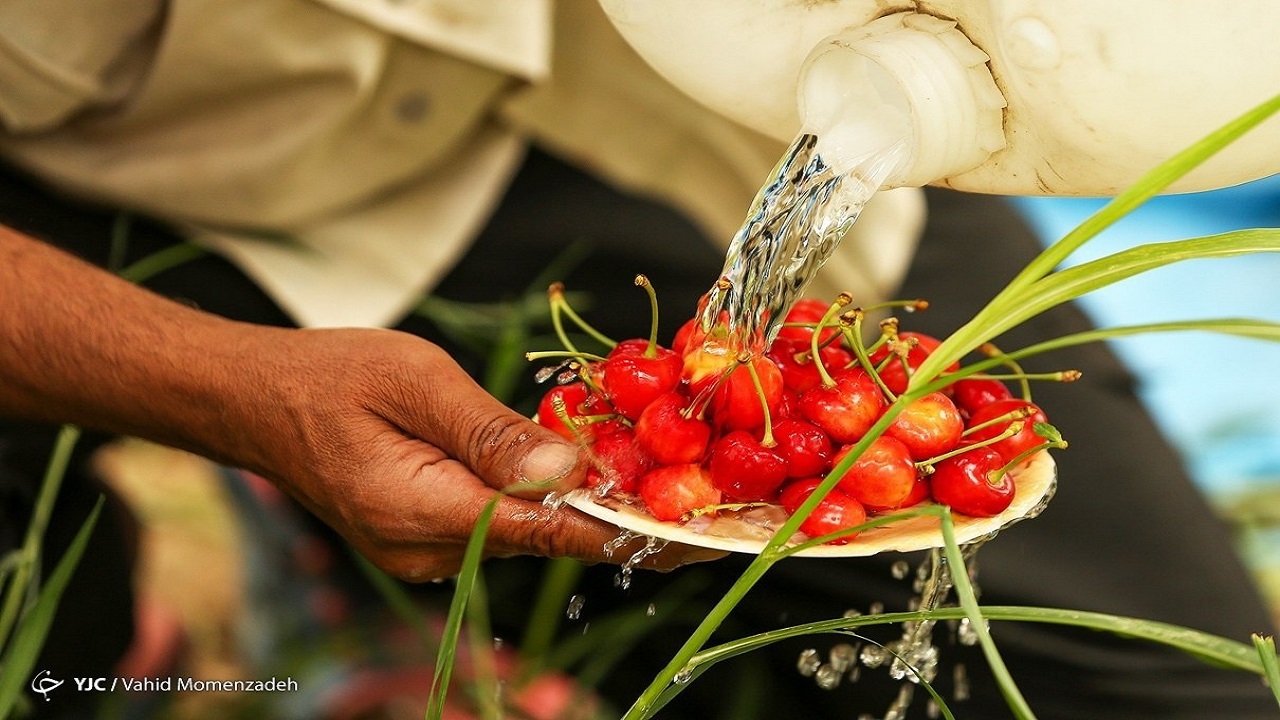 از عوارض مصرف زیاد گیلاس چه می‌دانید؟