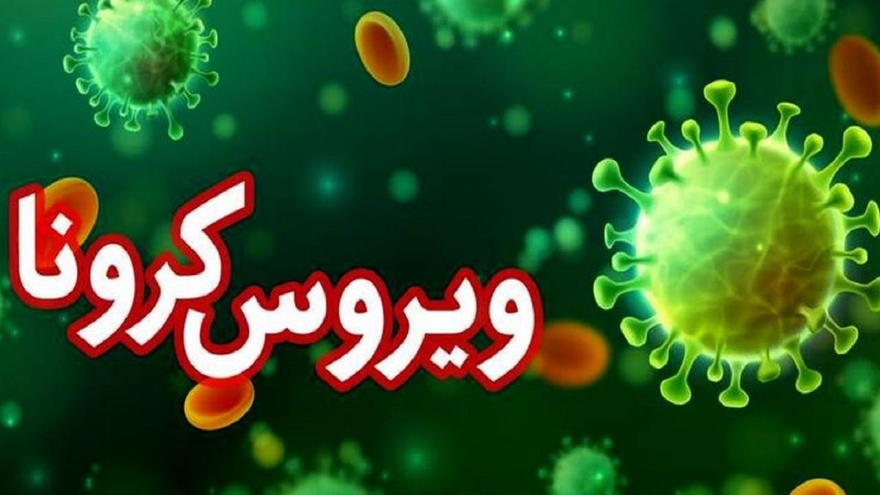 فوت ۴ بیمار کرونایی در اردبیل/ ۵۴ بیمار جدید بستری شدند