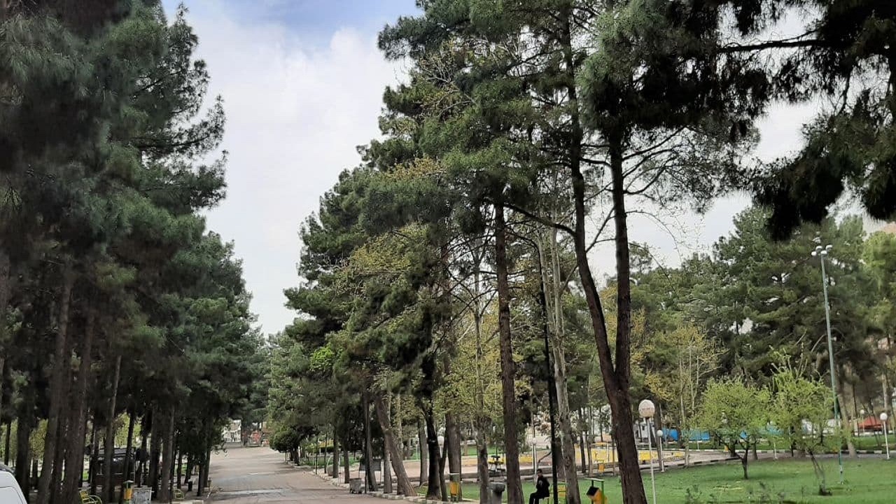 مسدود کردن ورودی تفرجگاه های جنگلی شهرستان آزادشهر