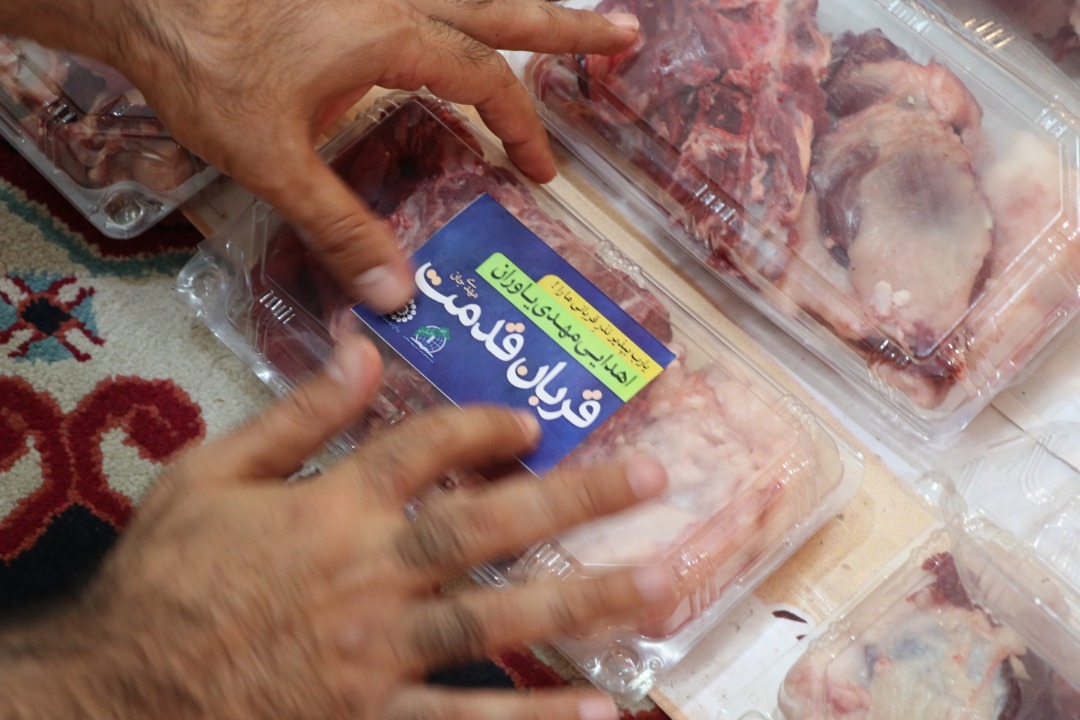 ۵۵ راس گوسفند قربانی و میان نیازمندان شیراز توزیع شد
