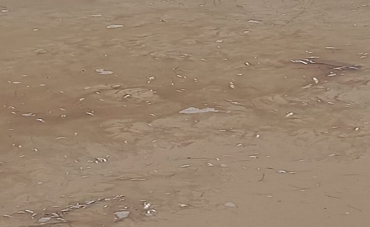 در اعتراضات ایذه چه گذشت؟/واژگونی اتوبوس در محور هراز با ۴۲ کشته و زخمی/شهادت و مجروح شدن دو مامور ناجا در بندر ماهشهر