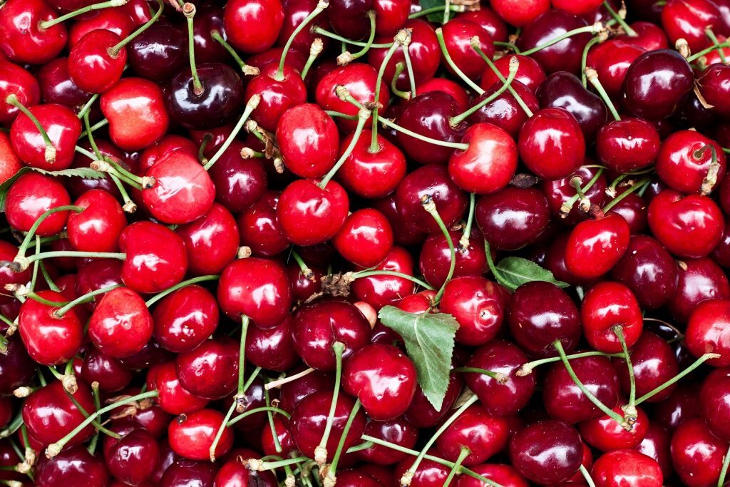 چرا نباید در مصرف گیلاس زیاده روی کنیم؟/ منتشر نشود