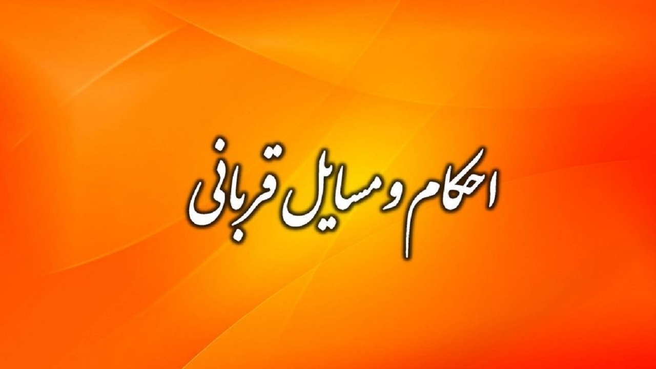 عبور از خویشتن و رسیدن به تقوا؛ هدف اصلی قربانی کردن حیوانات در راه خدا عبور از خویشتن و رسیدن به تقوا؛ هدف اصلی قربانی کردن حیوانات در راه خدا