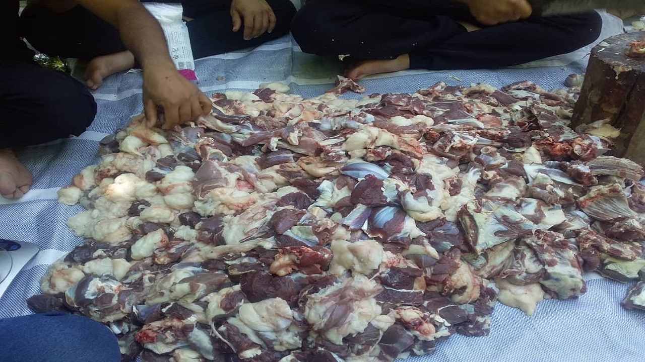 ذبح ۸ راس گوسفند در ظفرآباد + تصاویر