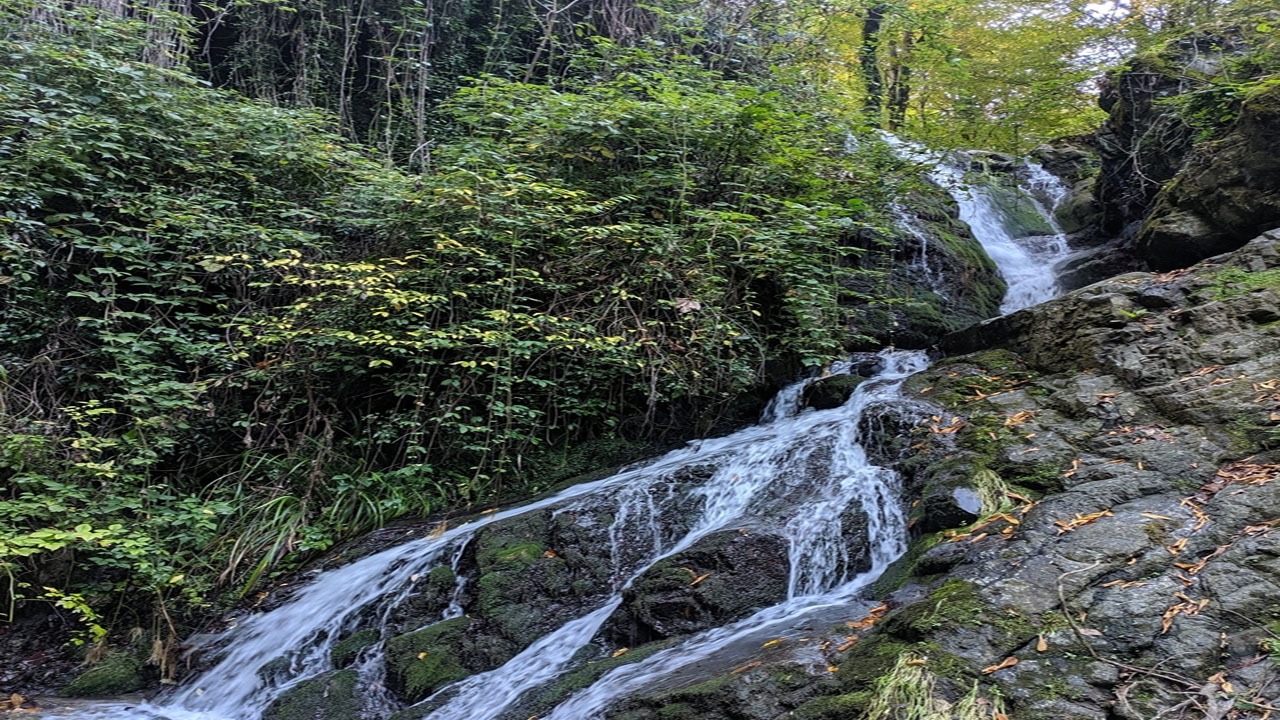 چشم‌اندازی زیبا از آبشار جذاب روستای جغدان + فیلم